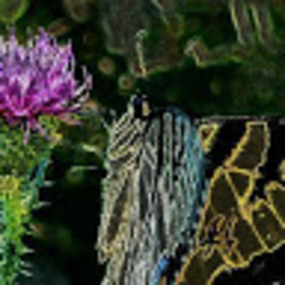 Meet your Posher, Laura - Picture 1 of 1